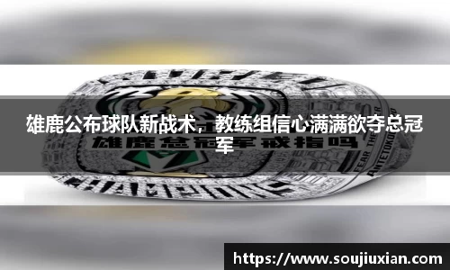 雄鹿公布球队新战术，教练组信心满满欲夺总冠军